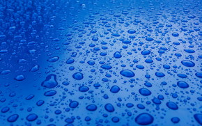 Water Drops wallpaper