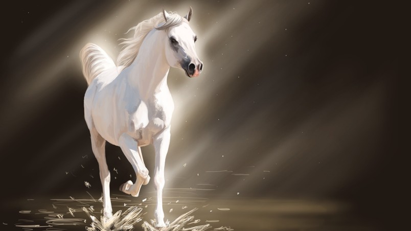 White Young Horse wallpaper