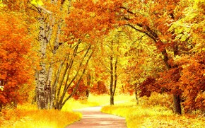 Yellow Autumn Landscape wallpaper