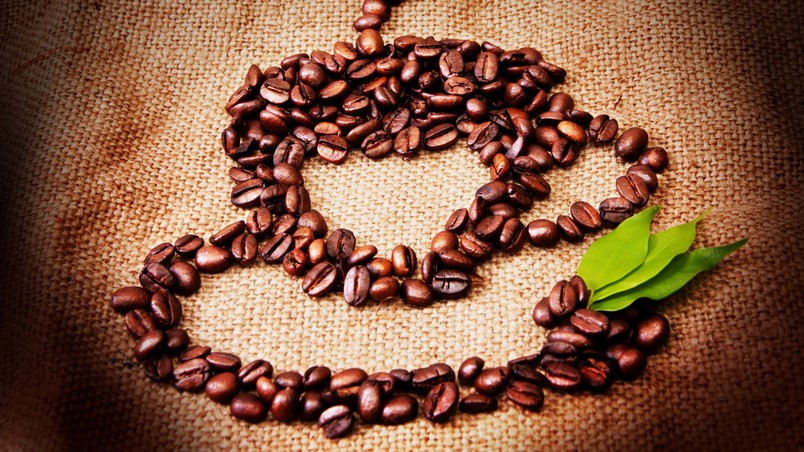 Coffee Seeds Cup wallpaper