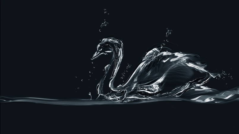 Water Swan wallpaper