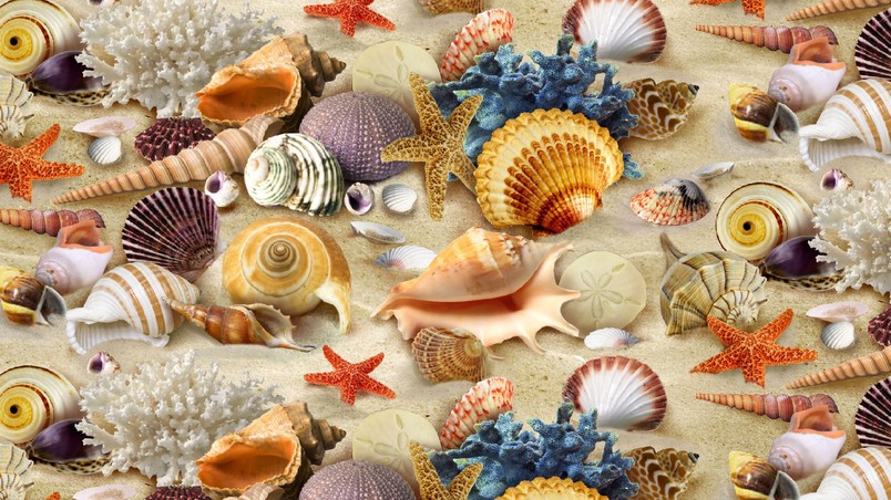 Sea Symbols wallpaper