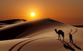 Sunset in Desert wallpaper