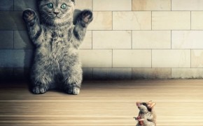 Wanted Little Kitty wallpaper