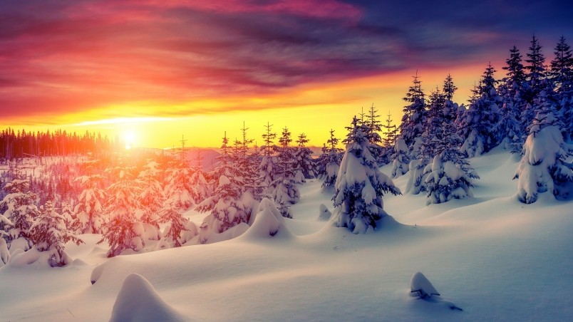 winter sunrise wallpaper