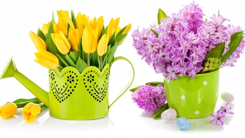 Purple Lilac and Yellow Tulips wallpaper
