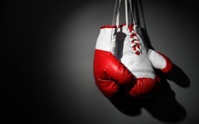 Boxing Gloves wallpaper