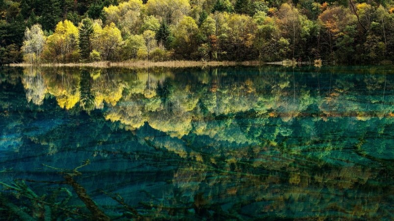Spectacular Lake Reflection wallpaper