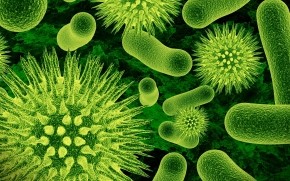 Bacteria wallpaper