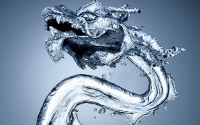 Water Dragon wallpaper