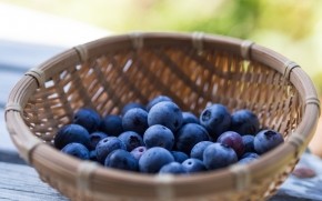 Basket of Blueberries wallpaper