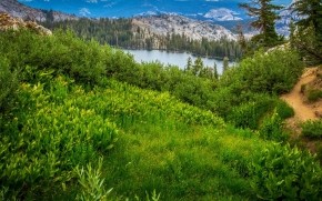 View Over Yosemite National Park wallpaper