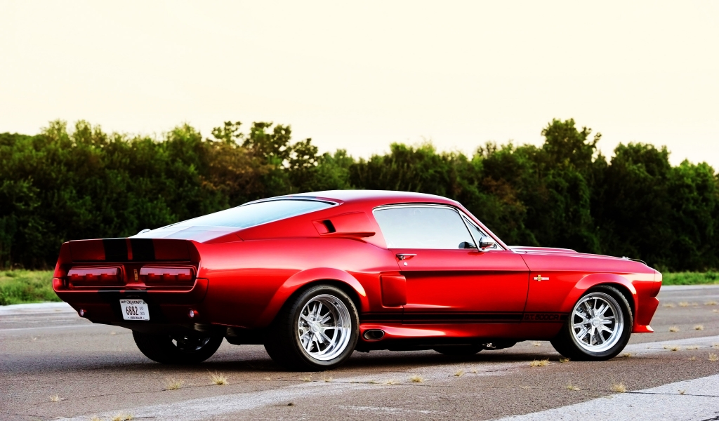 2011 Shelby GT500CR Rear for 1024 x 600 widescreen resolution