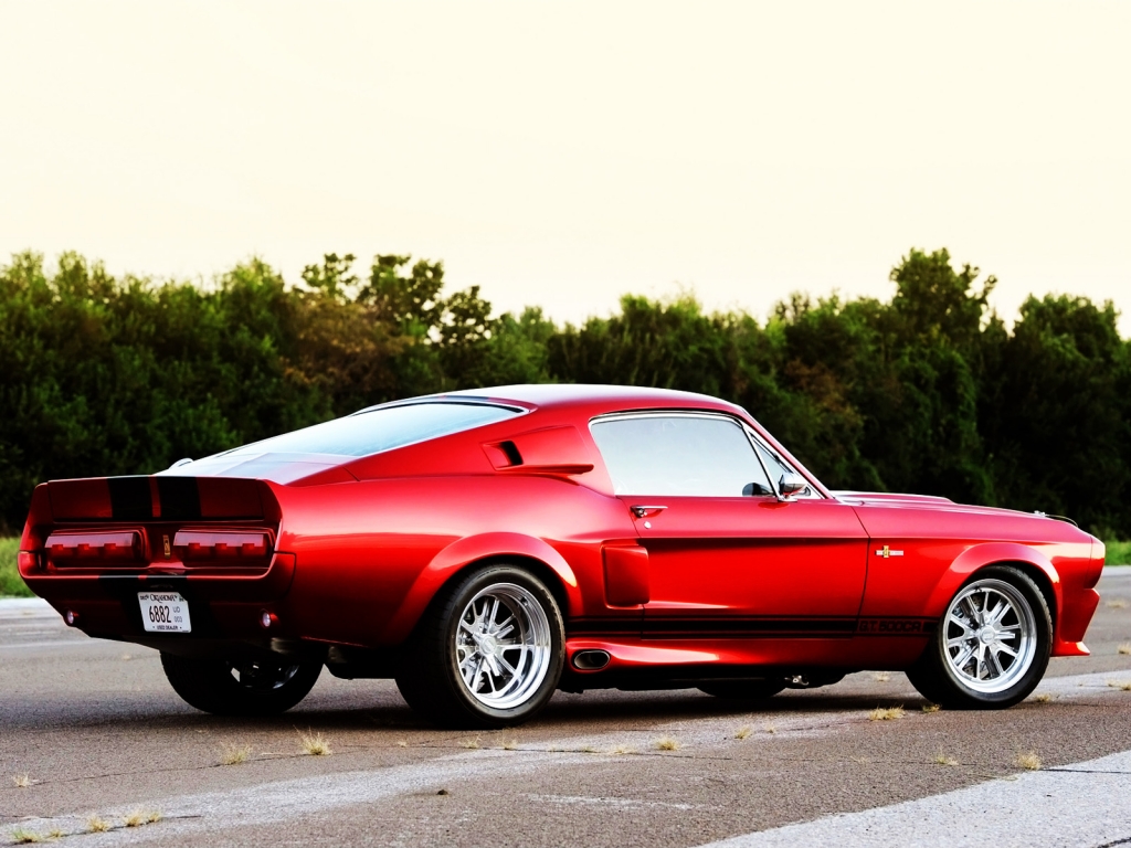 2011 Shelby GT500CR Rear for 1024 x 768 resolution