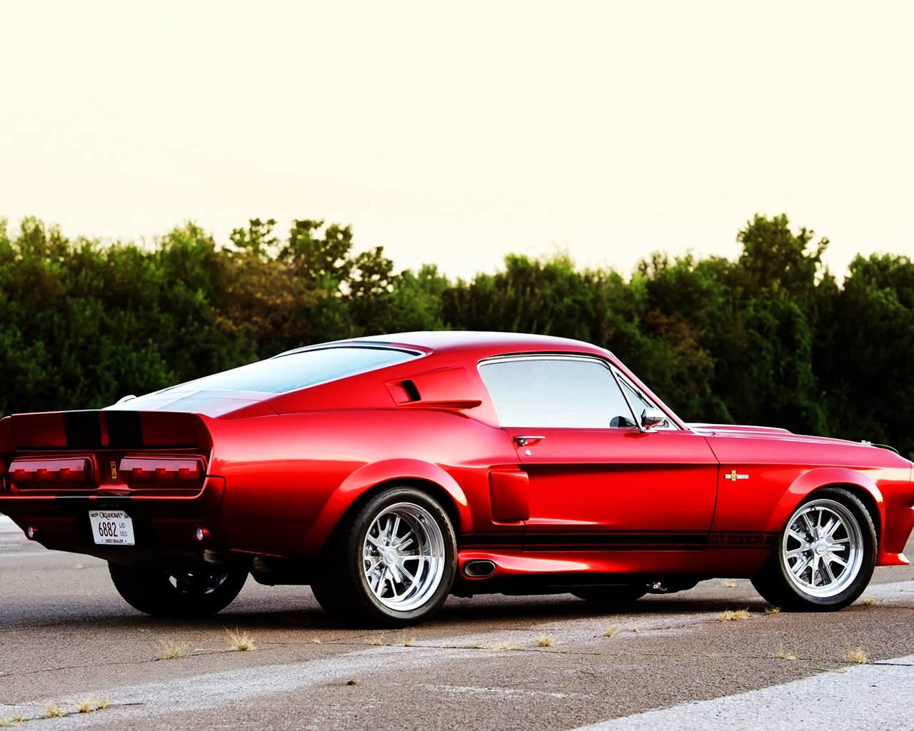 2011 Shelby GT500CR Rear for 1280 x 1024 resolution