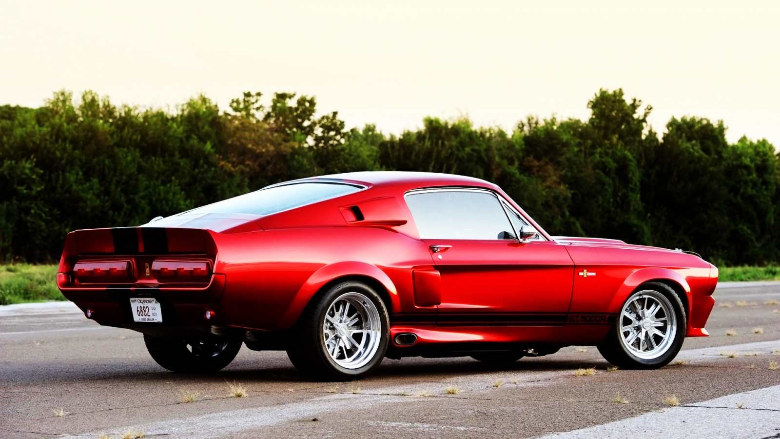 2011 Shelby GT500CR Rear for 1600 x 900 HDTV resolution