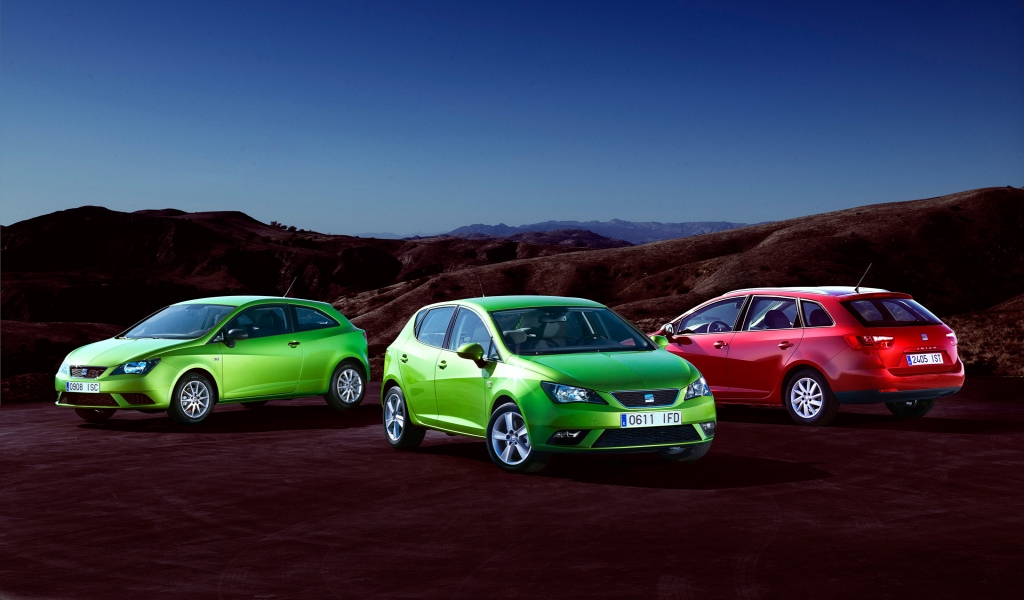 2013 Seat Ibiza Family for 1024 x 600 widescreen resolution