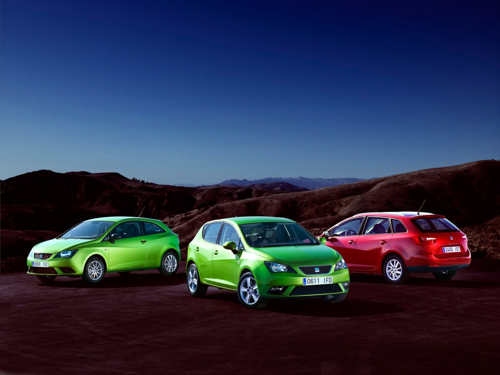 2013 Seat Ibiza Family for 1024 x 768 resolution