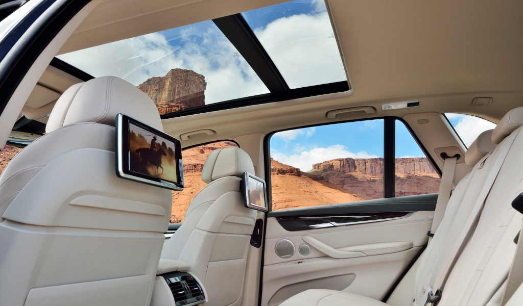 2014 BMW X5 Interior for 1024 x 600 widescreen resolution