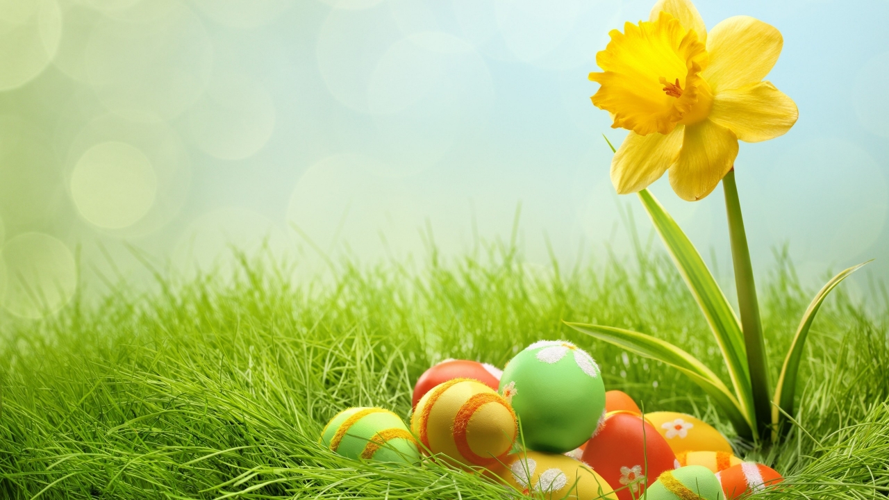 2014 Easter Eggs for 1280 x 720 HDTV 720p resolution