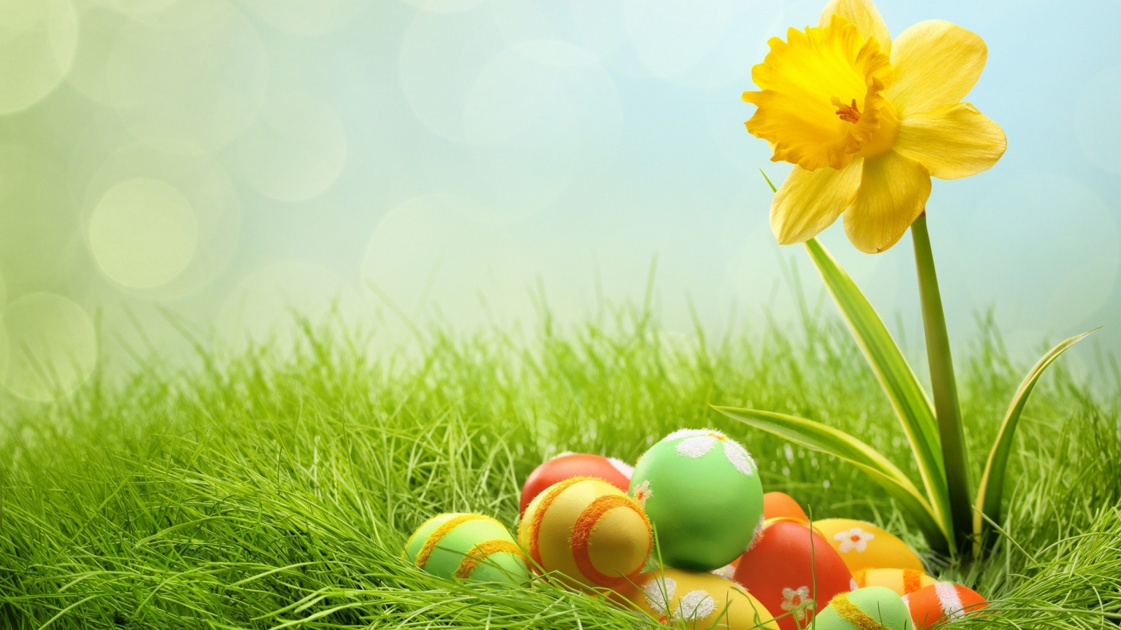 2014 Easter Eggs for 1600 x 900 HDTV resolution