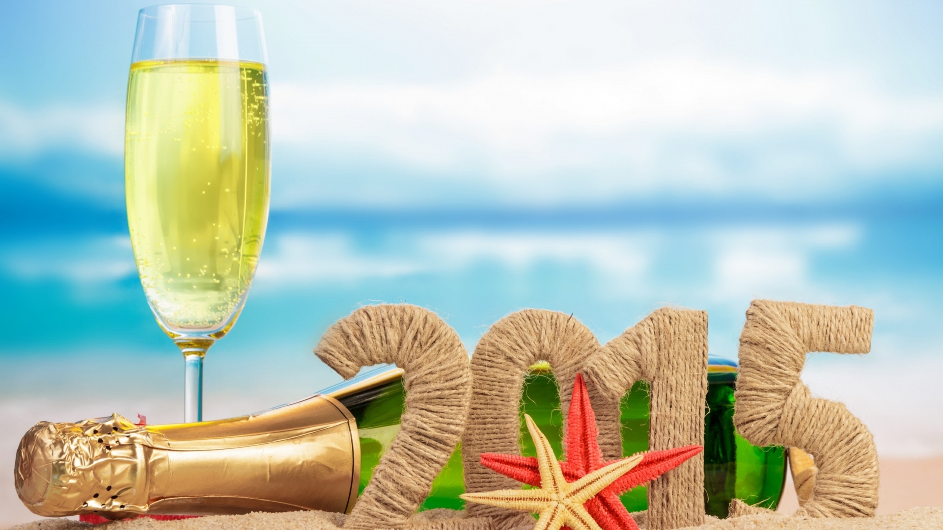 2015 Ornaments and Champagne for 1920 x 1080 HDTV 1080p resolution