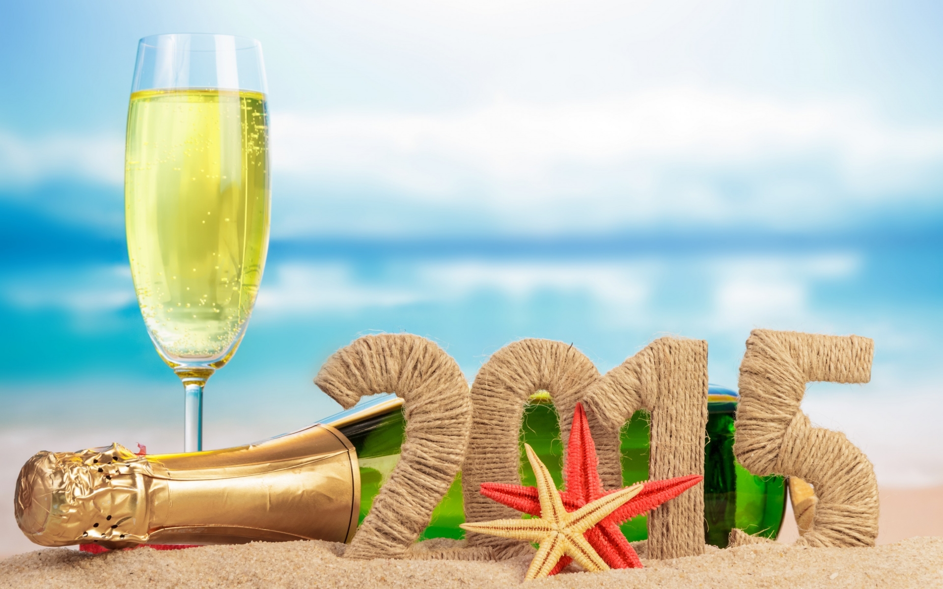 2015 Ornaments and Champagne for 1920 x 1200 widescreen resolution