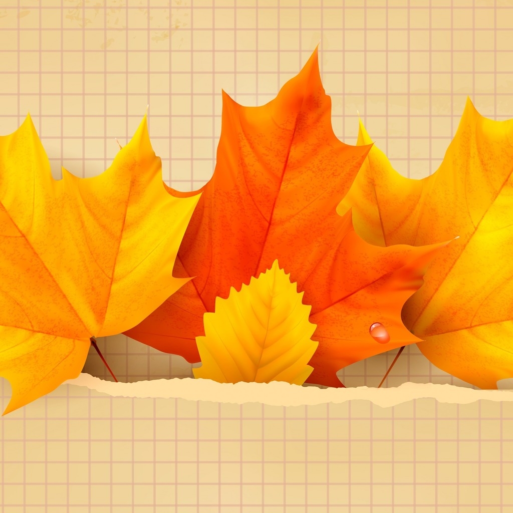 3 Beautiful Autumn Leaves for 1024 x 1024 iPad resolution
