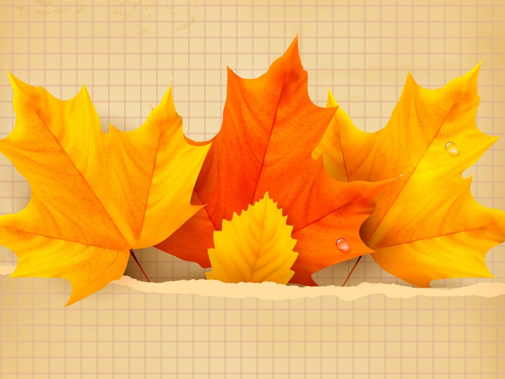 3 Beautiful Autumn Leaves for 1024 x 768 resolution