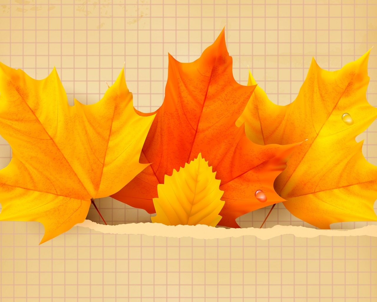 3 Beautiful Autumn Leaves for 1280 x 1024 resolution