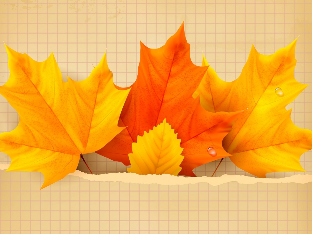 3 Beautiful Autumn Leaves for 1280 x 960 resolution