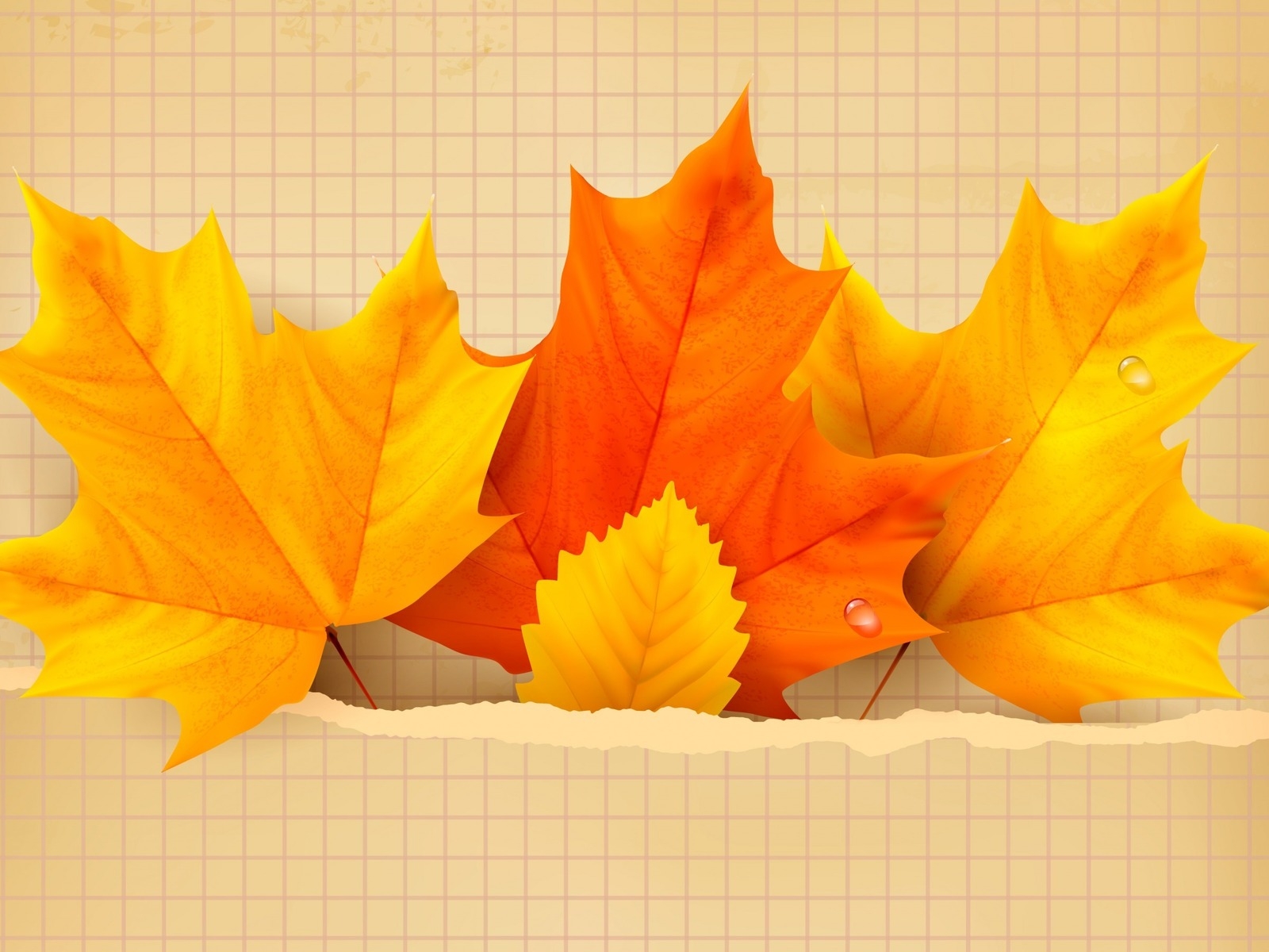 3 Beautiful Autumn Leaves for 1600 x 1200 resolution