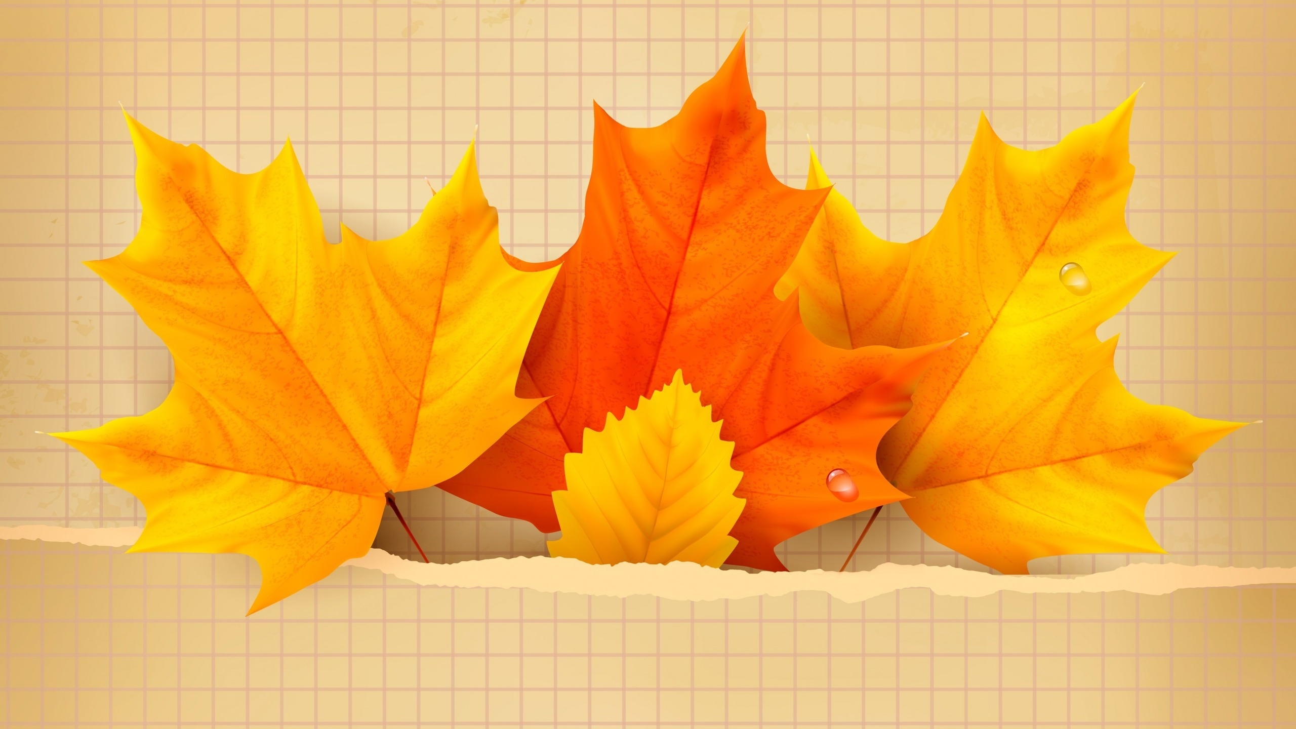 3 Beautiful Autumn Leaves for 2560x1440 HDTV resolution