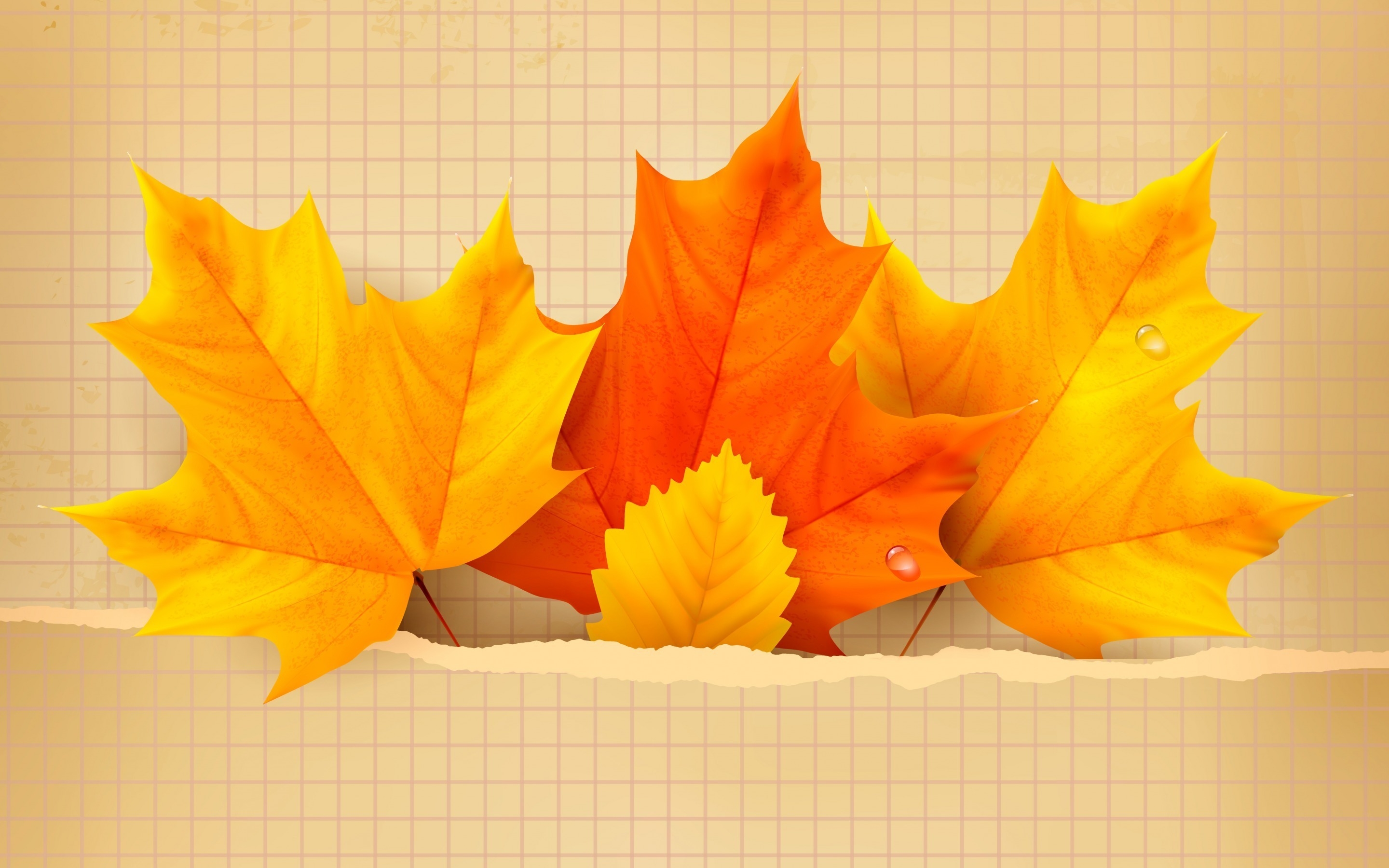 3 Beautiful Autumn Leaves for 2880 x 1800 Retina Display resolution