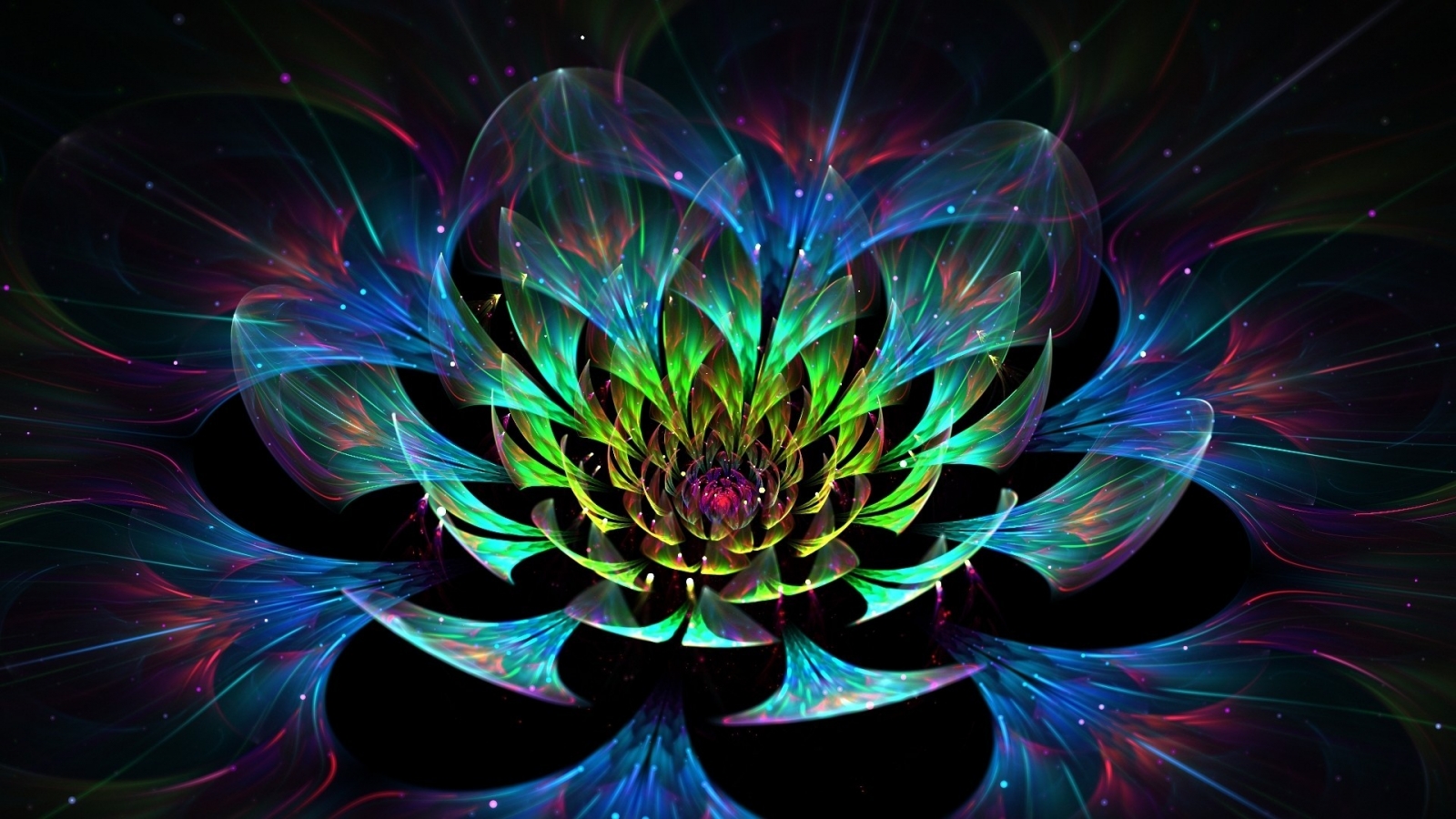 3D Lotus Flower for 1600 x 900 HDTV resolution