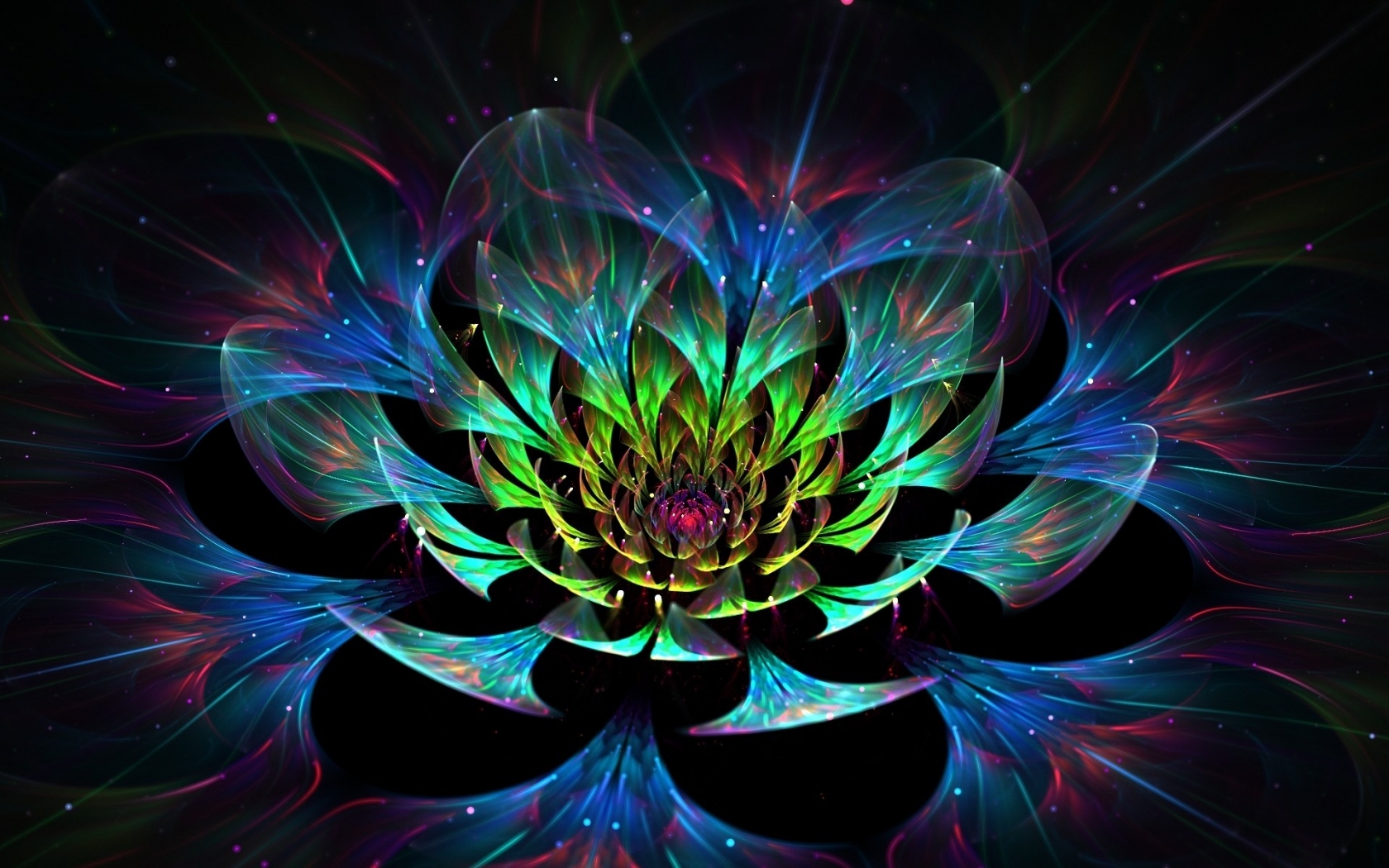 3D Lotus Flower for 1680 x 1050 widescreen resolution