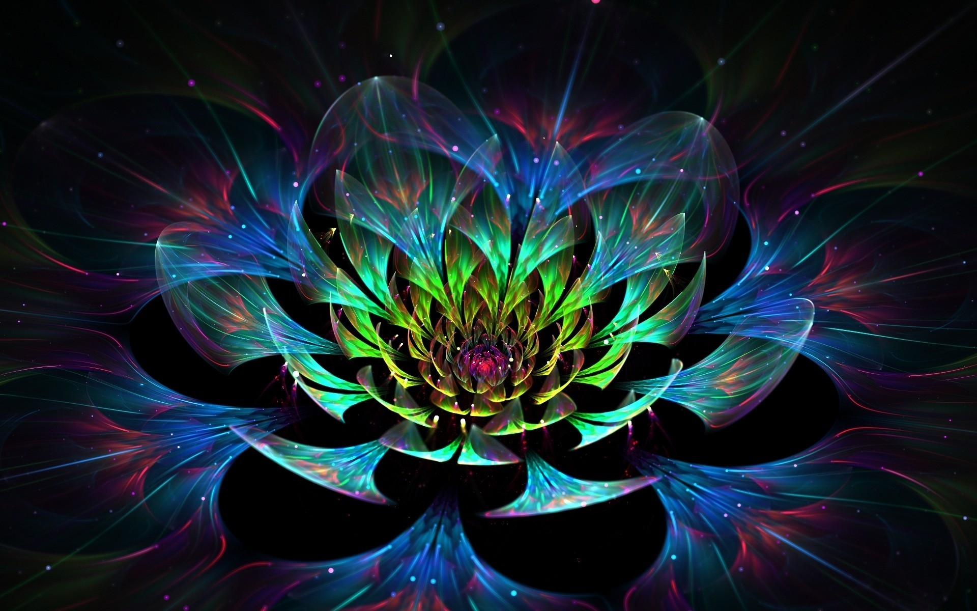 3D Lotus Flower for 1920 x 1200 widescreen resolution