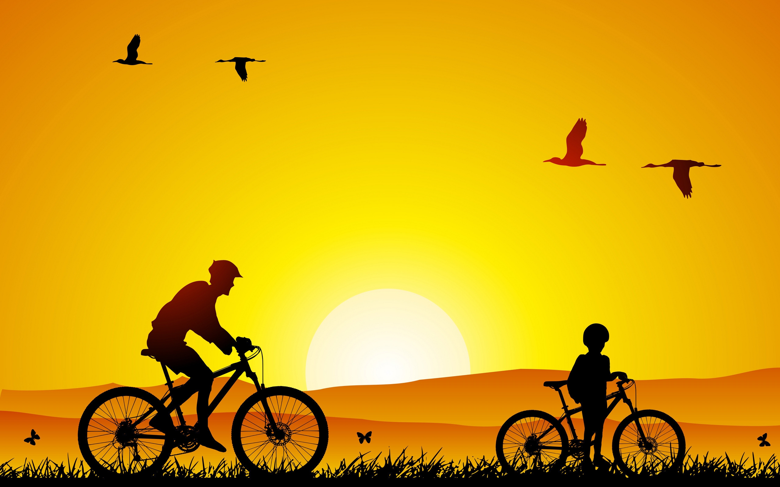 A bicycle ride for 2560 x 1600 widescreen resolution