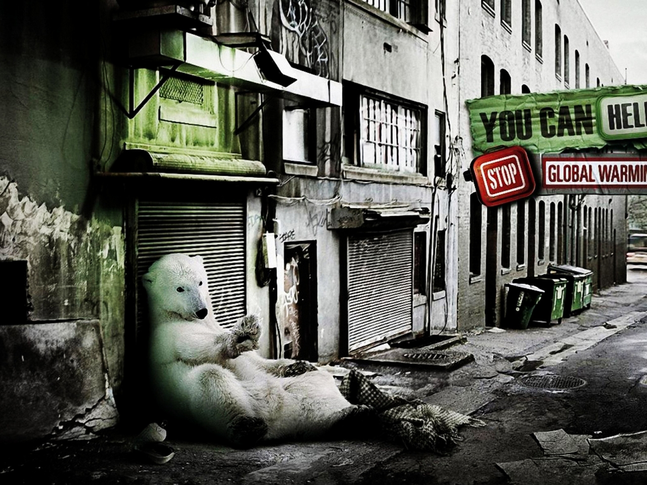 A friendly Polar Bear for 1280 x 960 resolution