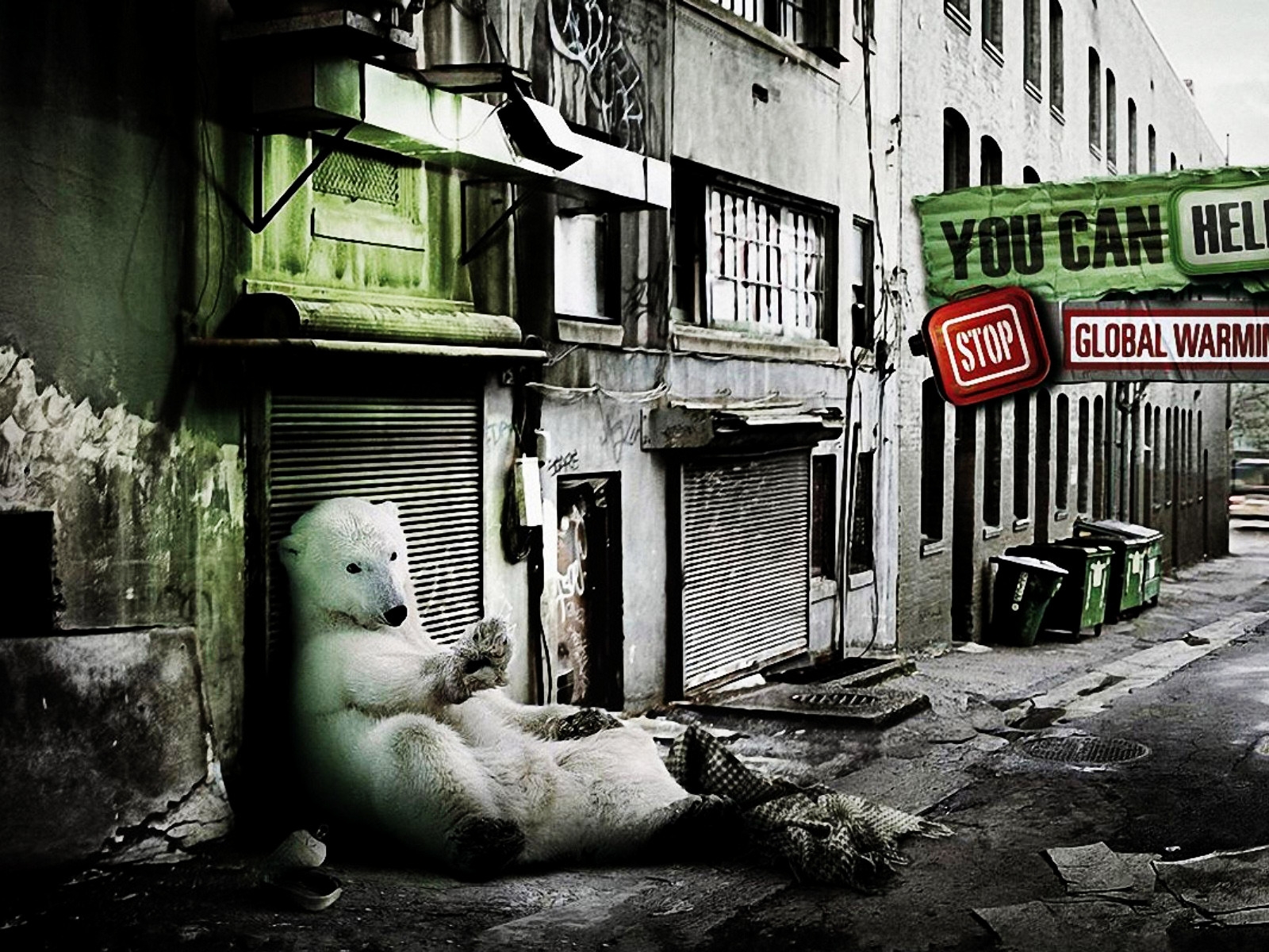 A friendly Polar Bear for 1600 x 1200 resolution