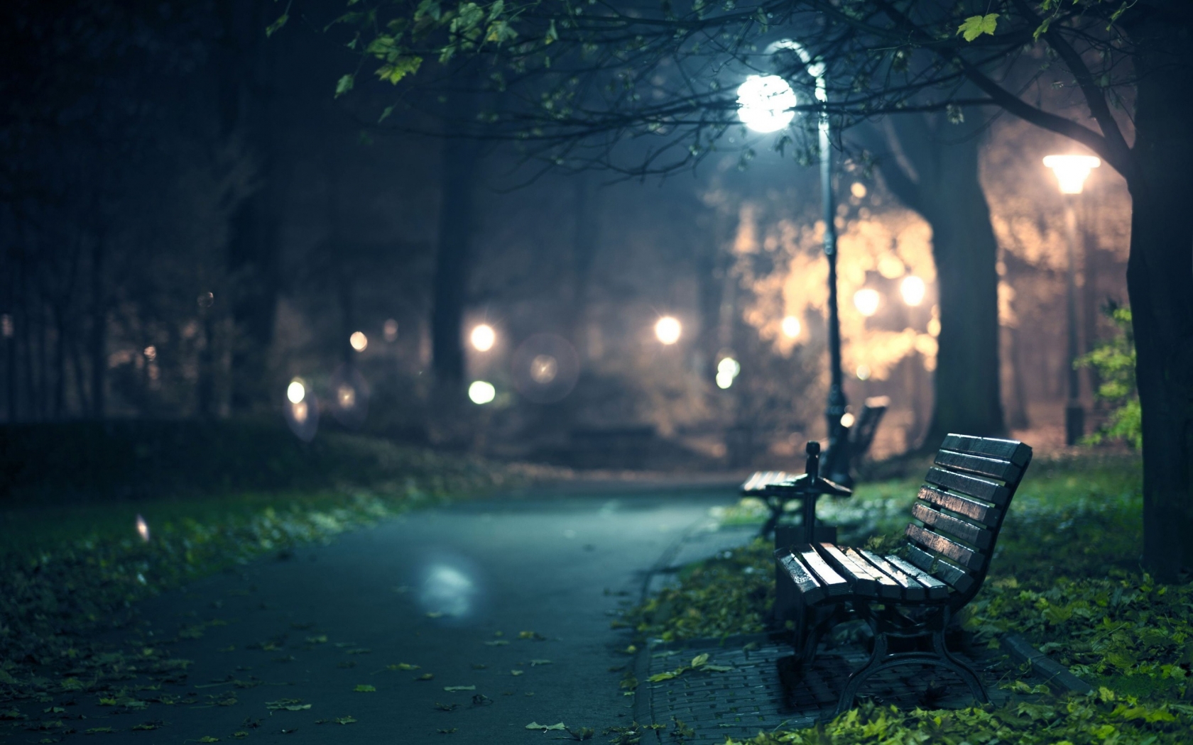 A Lonely Walk in Night for 1680 x 1050 widescreen resolution