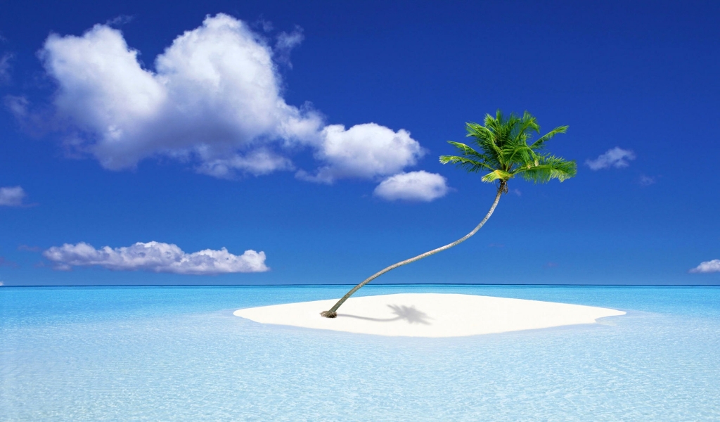 A Palm Tree Island for 1024 x 600 widescreen resolution
