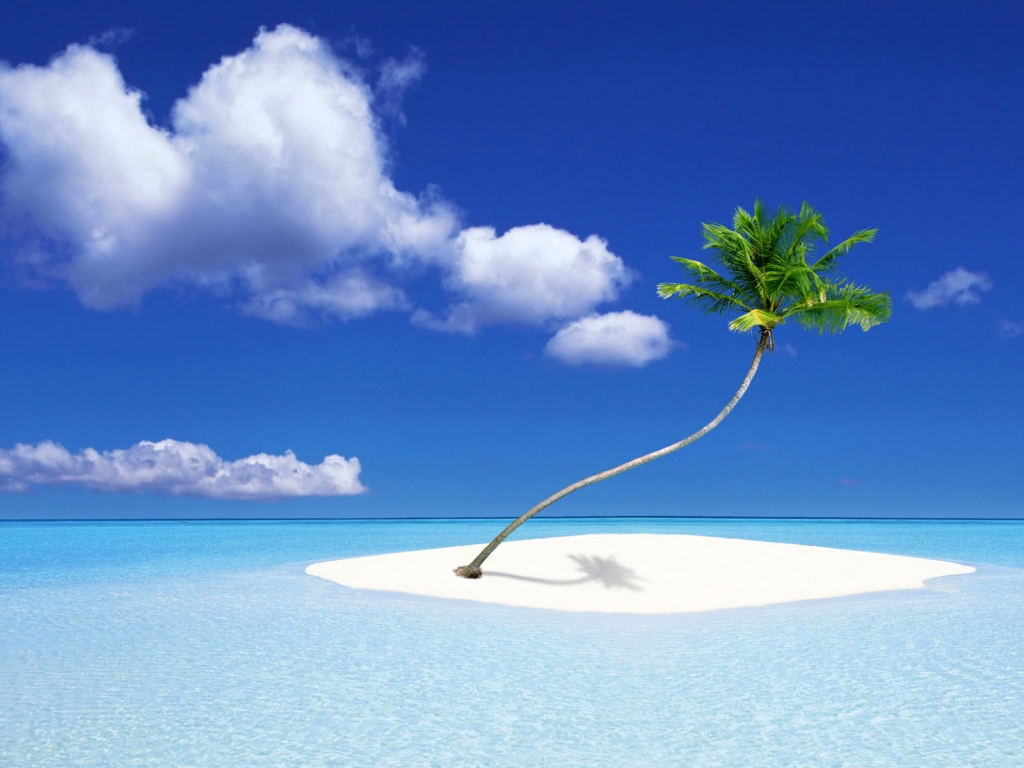 A Palm Tree Island for 1024 x 768 resolution