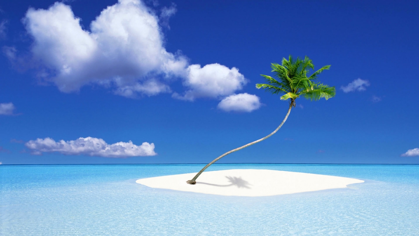 A Palm Tree Island for 1366 x 768 HDTV resolution