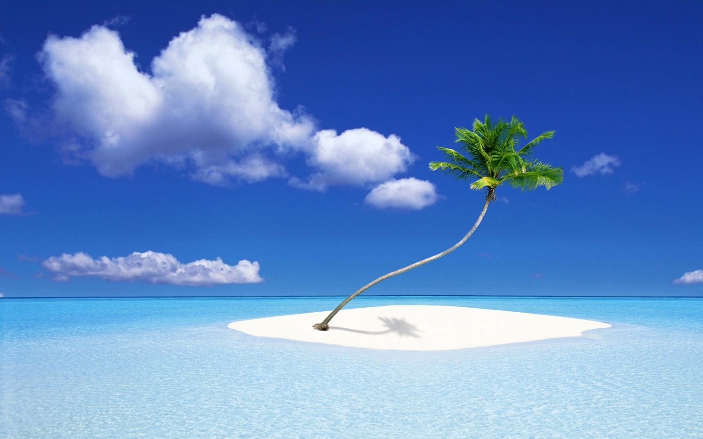 A Palm Tree Island for 1440 x 900 widescreen resolution