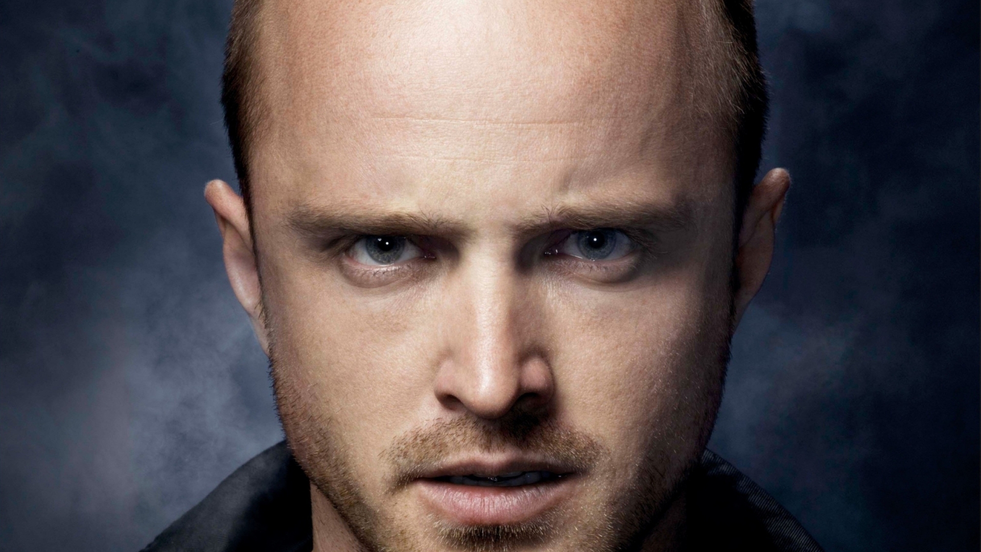 Aaron Paul Actor for 1920 x 1080 HDTV 1080p resolution