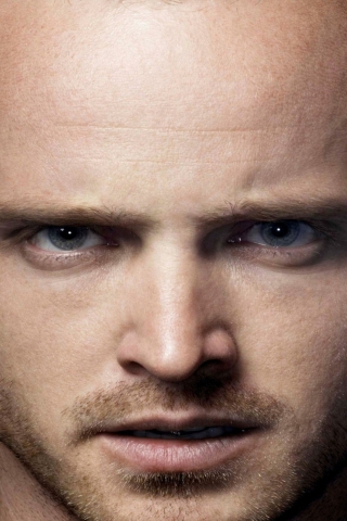 Aaron Paul Actor for 320 x 480 iPhone resolution