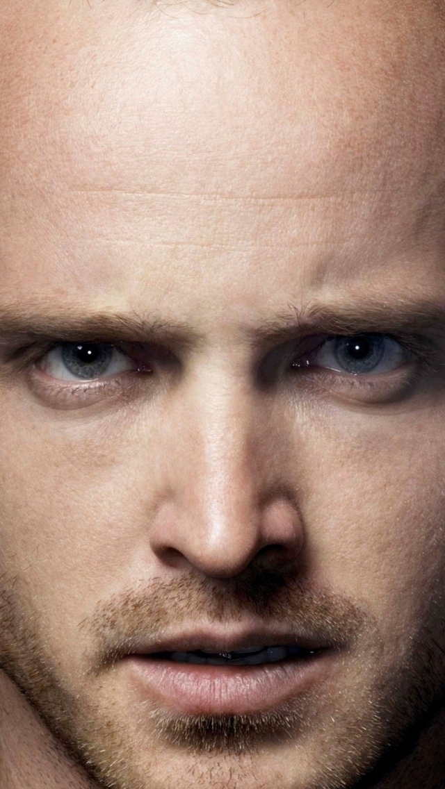 Aaron Paul Actor for 640 x 1136 iPhone 5 resolution
