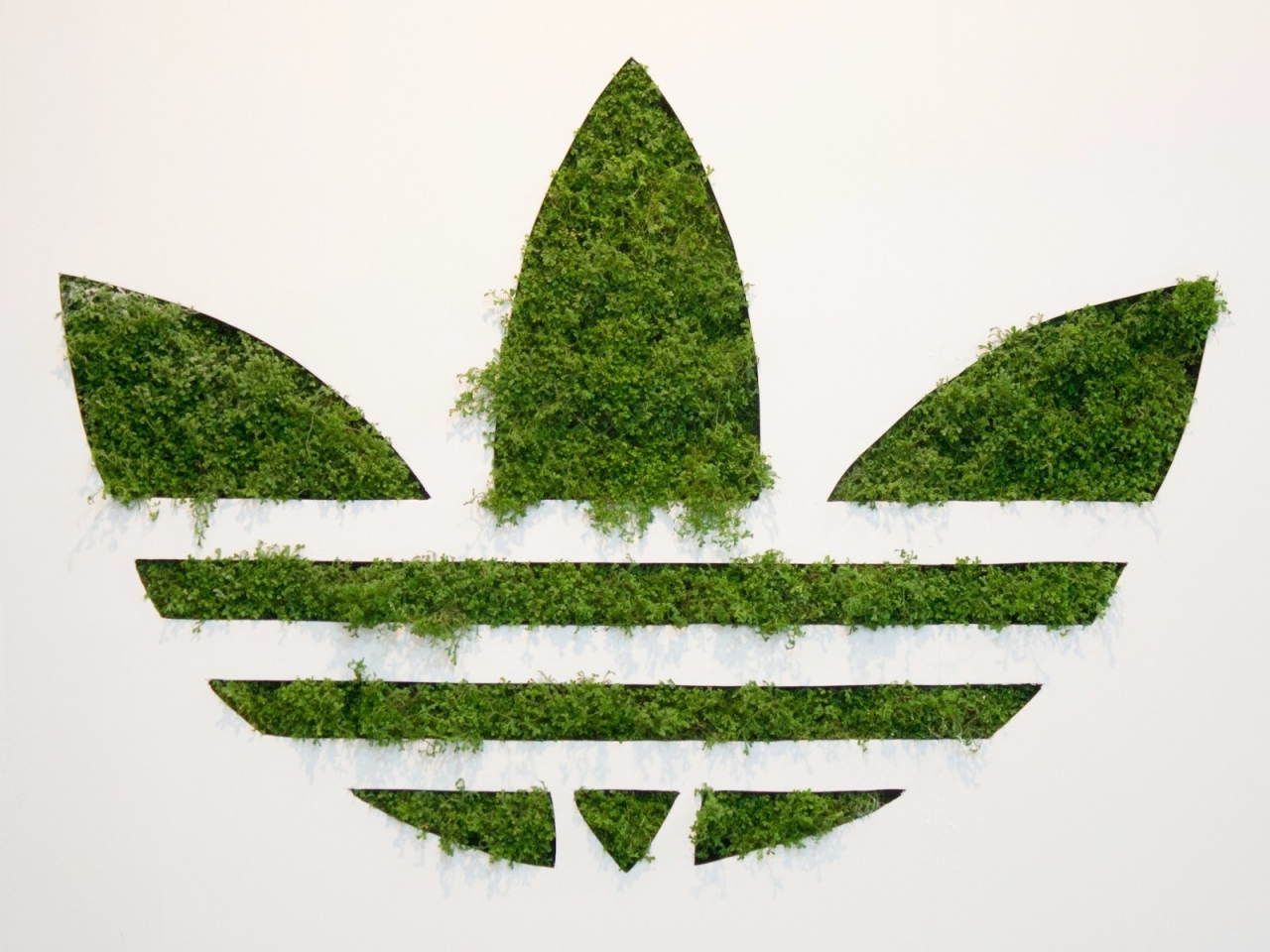 Adidas Green Logo for 1280 x 960 resolution