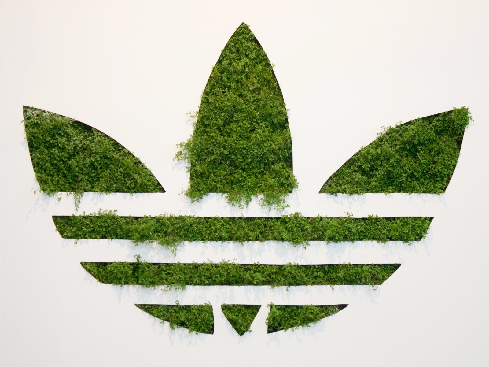 Adidas Green Logo for 1600 x 1200 resolution